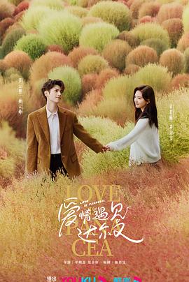 邱淑贞版张学友海报剧照