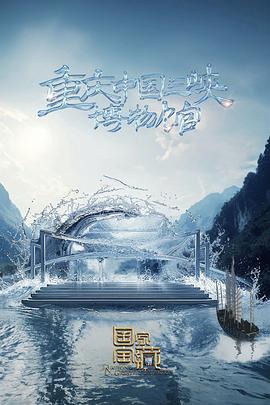 过境救援海报剧照